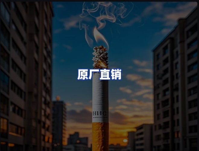 专业团队
